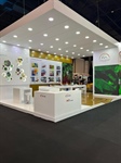 A cor se transforma. Viva essa experiência na Haus Decor!