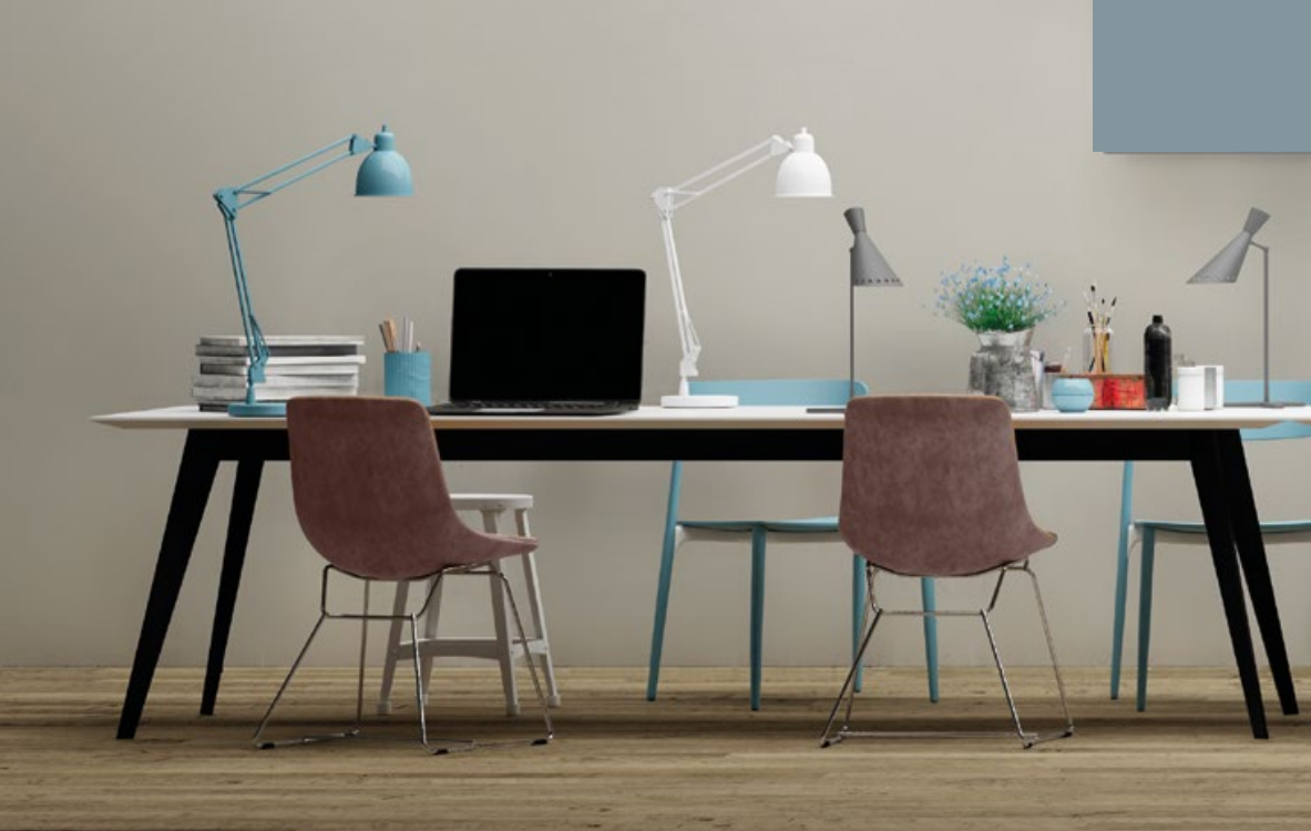 Color Trainer Interni Edition II